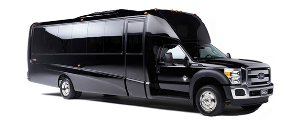 Executive/Party Buses