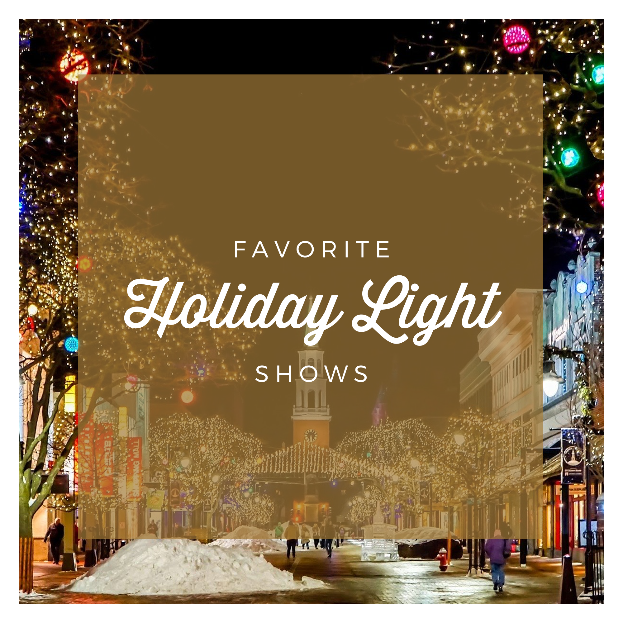 Best Holiday Light Displays in the Chicago land area