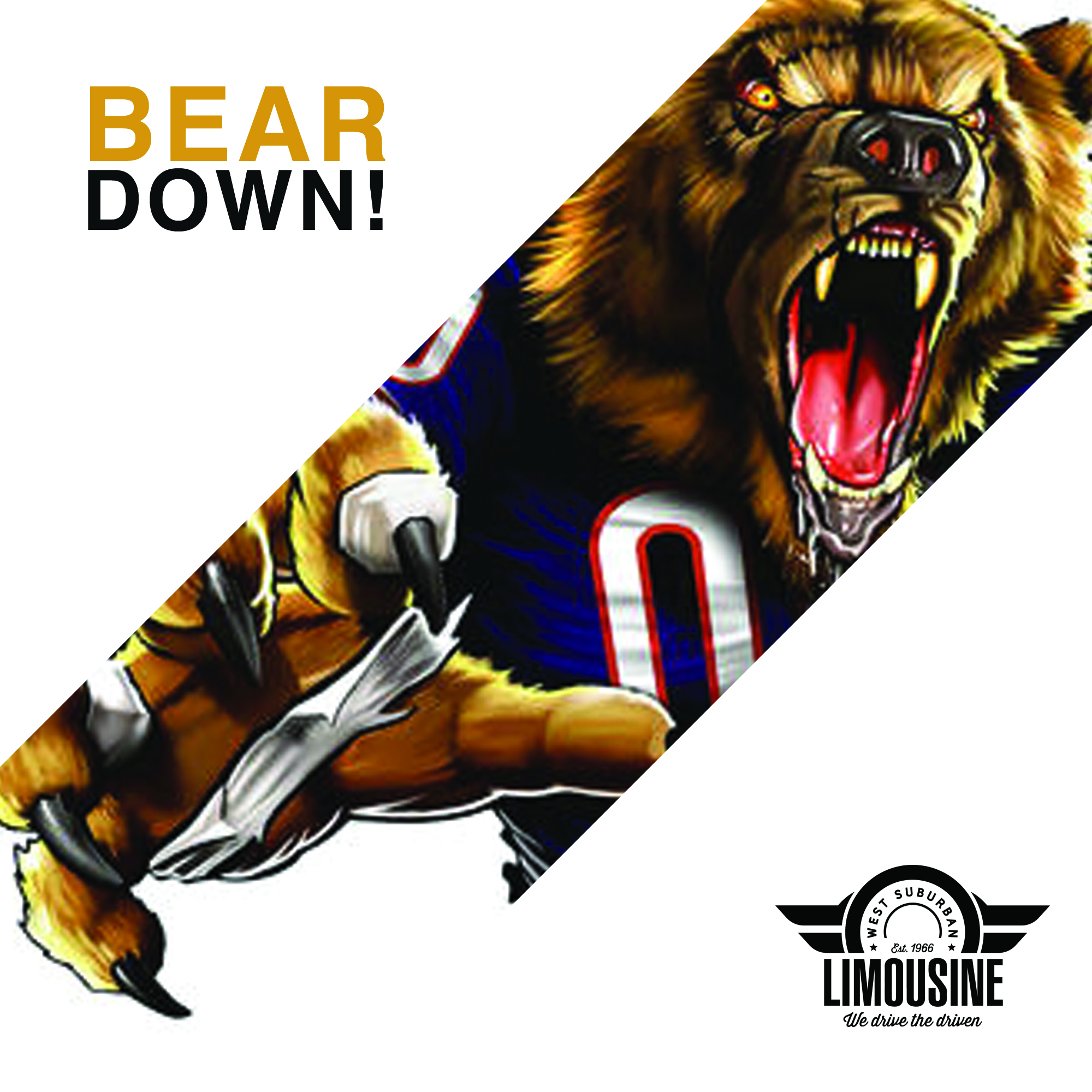 limo service to Soldier Field for the Chicago Bears 2019 Season